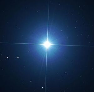 Meet your Posher, Neil